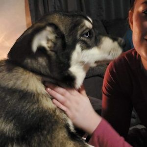 Meet your Posher, Ronald